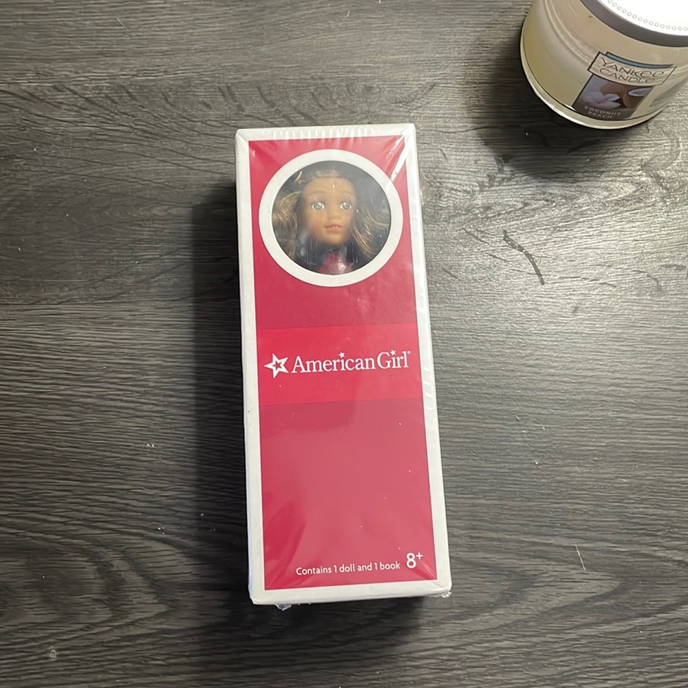 rebecca rubin mini american girl doll and book